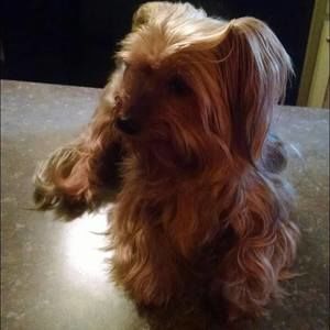 Meet your Posher, Rick